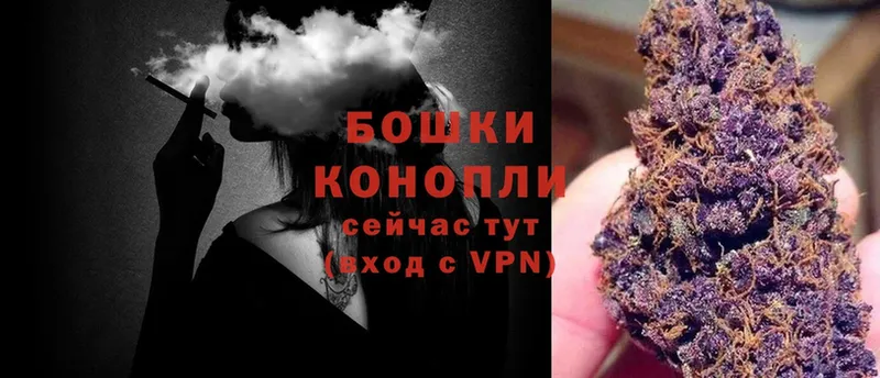 где купить   Пучеж  Шишки марихуана OG Kush 